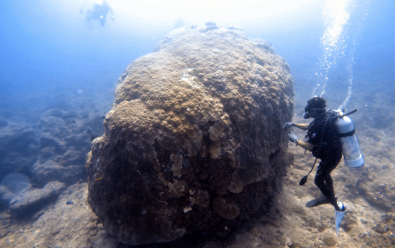 2015年蘇迪勒颱風引發湧浪，嚴重摧殘小琉球珊瑚礁，研究人員現勘海底鐘形微孔珊瑚（圖中大型團塊），除了微孔珊瑚，周圍珊瑚覆蓋率普遍不佳，至今還在緩慢恢復過程。（圖／台灣海洋科技研究中心提供）