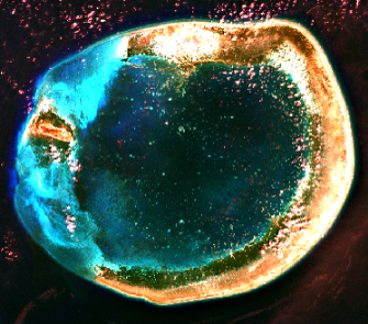 東沙環礁衛星影像