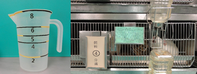 飼育員經過秤重計算，在裝盛飼料的量杯上，標示出飼料份量刻度（左圖），結合掛牌系統（右圖），方便管理天竺鼠的飼料量和觀察牠們進食情形。（照片來源：國研院動物中心）