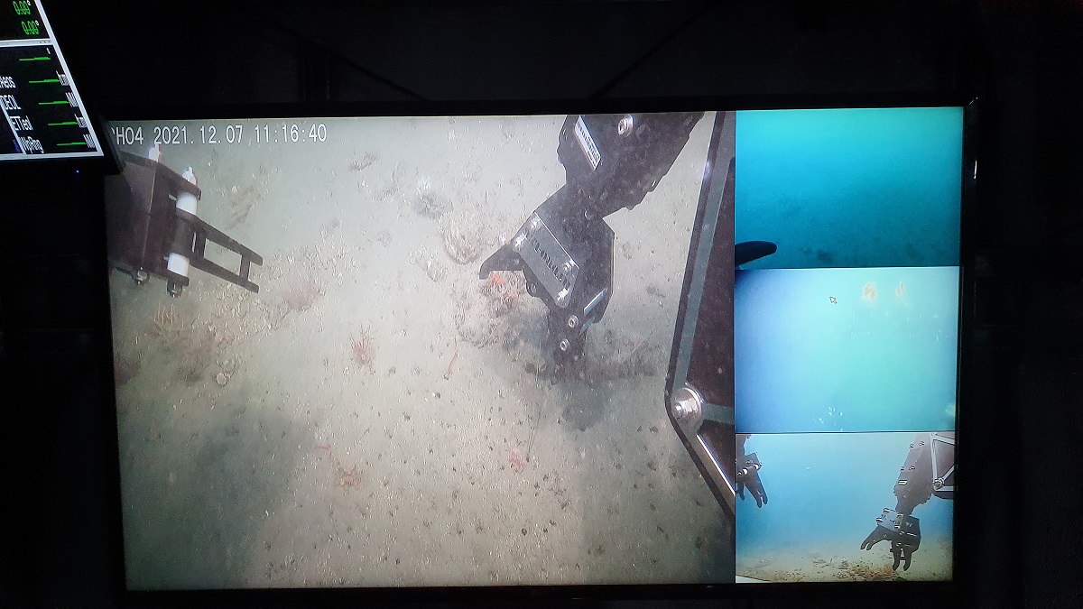 輕型工作級ROV水下攝影機影像拍攝作業影像